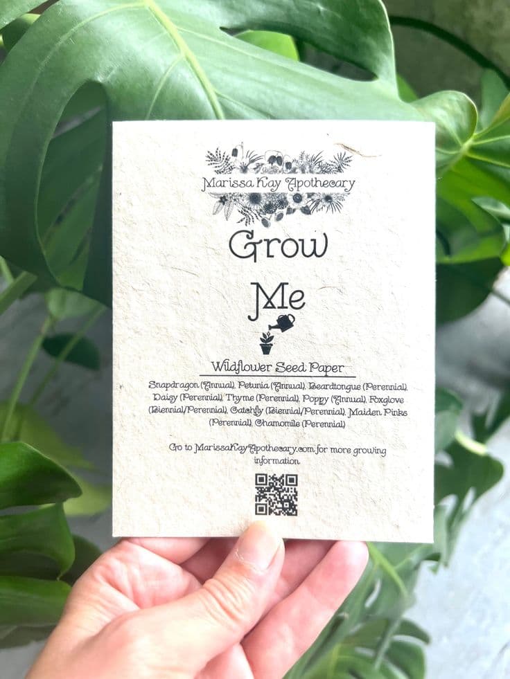 Seed Paper Welcome Card