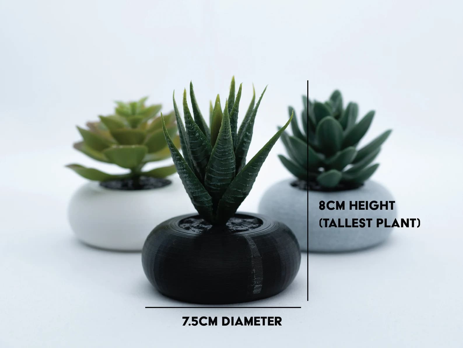 Desk Succulent Garden 3 Plants