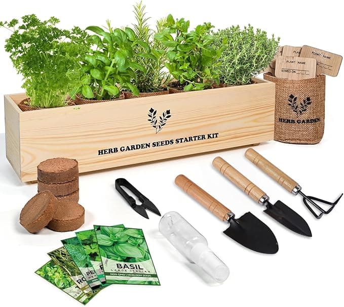 Plant Kit Herb Garden Starter